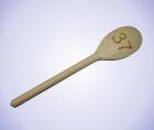 Wooden Spoon 1