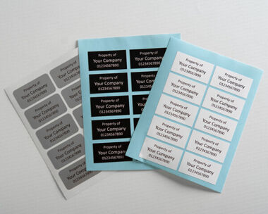 S/A Vinyl  Asset Labels Type 1 38mm x 20mm