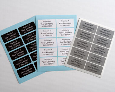 S/A Vinyl  Asset Labels Type 1 50mm x 25mm