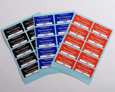 S/A Vinyl  Asset Labels Type 2 50mm x 25mm