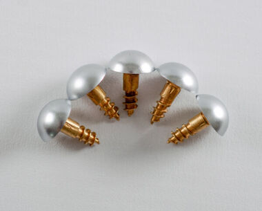 15mm Brass Screws and Silver Domed Caps (pkt of 5)