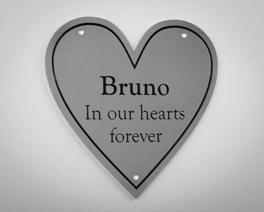 Stainless Steel Memorial Pet Plaque - Heart